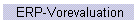 ERP-Vorevaluation