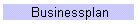 Businessplan